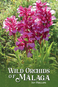 Wild Orchids of Málaga by Ian Phillips