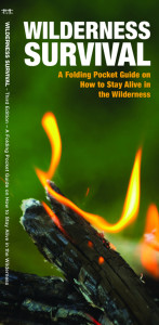 Wilderness Survival by James Kavanagh