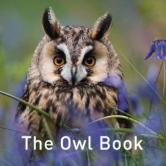 The Owl Book by Jane Russ (Hardback)