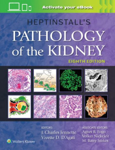 Heptinstall's Pathology of the Kidney by J. Charles Jennette (Hardback)