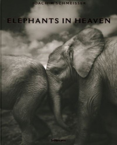 Elephants in Heaven by Joachim Schmeisser (Hardback)