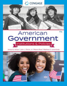 American Government by Matthew Levendusky
