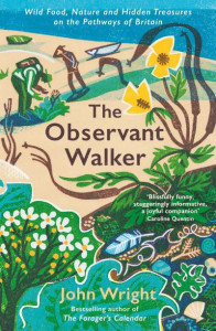 The Observant Walker by John Wright