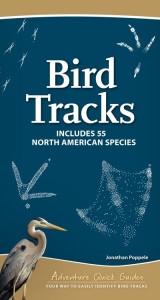 Bird Tracks by Jonathan Poppele (Spiral bound)