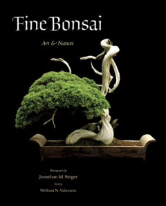 Fine Bonsai by Jonathan Singer (Hardback)