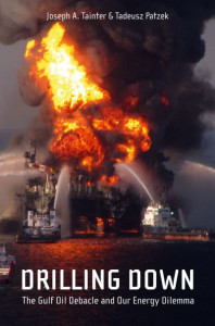 Drilling Down by Joseph A. Tainter