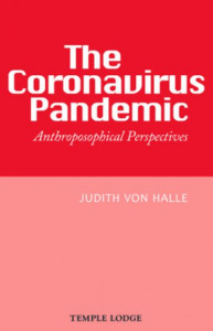 The Coronavirus Pandemic by Judith von Halle