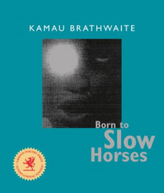 Born to Slow Horses by Kamau Brathwaite