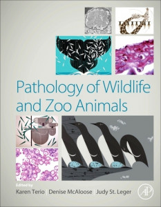 Pathology of Wildlife and Zoo Animals by Karen A. Terio (Hardback)