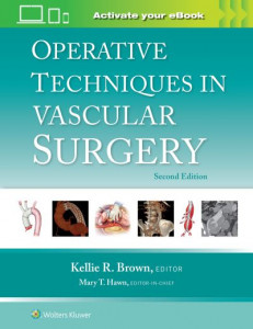 Operative Techniques in Vascular Surgery by Mary T. Hawn (Hardback)