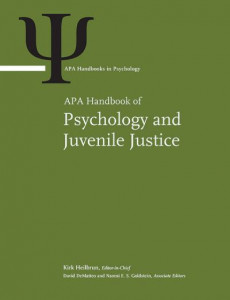 APA Handbook of Psychology and Juvenile Justice by Kirk Heilbrun (Hardback)