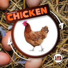 Life Cycle of a Chicken by Kirsty Holmes (Hardback)