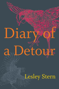 Diary of a Detour by Lesley Stern