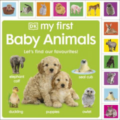 My First Baby Animals by Dawn Sirett (Boardbook)