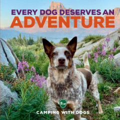 Every Dog Deserves an Adventure by L. J. Tracosas (Hardback)