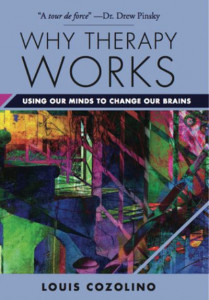 Why Therapy Works by Louis J. Cozolino (Hardback)