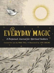 Everyday Magic by Maia Toll (Hardback)
