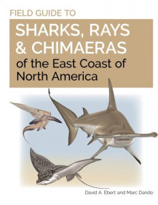 Field Guide to Sharks, Rays and Chimaeras of the East Coast of North America by Dr. David A. Ebert