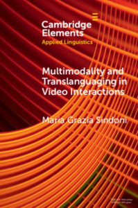 Multimodality and Translanguaging in Video Interactions by Maria Grazia Sindoni