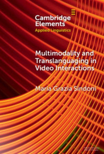 Multimodality and Translanguaging in Video Interactions by Maria Grazia Sindoni (Hardback)