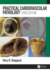 Practical Cardiovascular Pathology by Mary N. Sheppard (Hardback)