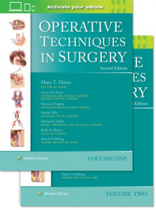 Operative Techniques in Surgery by Mary T. Hawn (Hardback)