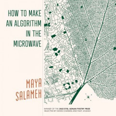 How to Make an Algorithm in the Microwave by Maya Salameh