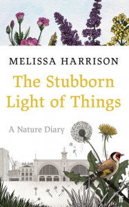 The Stubborn Light of Things by Melissa Harrison (Hardback)