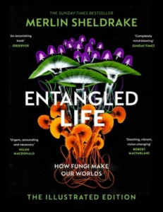 Entangled Life by Merlin Sheldrake (Hardback)