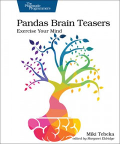 Pandas Brain Teasers by Miki Tebeka
