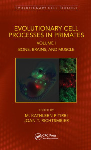 Evolutionary Cell Processes in Primates. Volume I Bone, Brains, and Muscle by Kathleen M. Pitirri