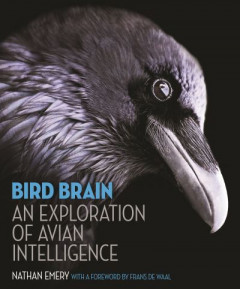 Bird Brain by Nathan Emery (Hardback)