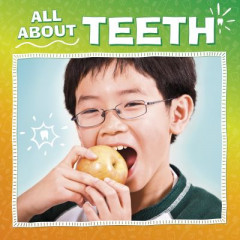 All About Teeth by Nicole A. Mansfield (Hardback)