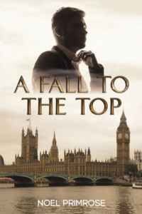A Fall to the Top by Noel Primrose