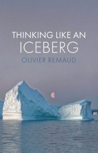Thinking Like an Iceberg by Olivier Remaud