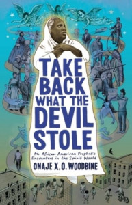 Take Back What the Devil Stole by Onaje X. O. Woodbine
