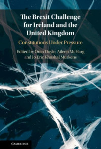 The Brexit Challenge for Ireland and the United Kingdom: Constitutions Under Pressure by Oran Doyle (Trinity College Dublin) (Hardback)