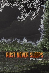 Rust Never Sleeps by Pam Brown