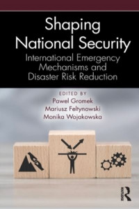 Shaping National Security by Pawel Gromek