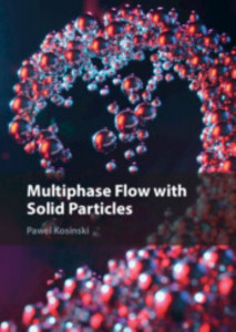 Multiphase Flow With Solid Particles by Pawel Kosinski (Hardback)