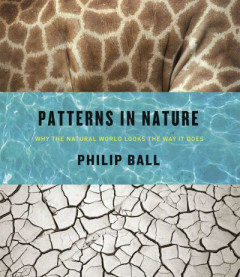 Patterns in Nature by Philip Ball (Hardback)