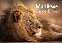 Madikwe Game Reserve by Philip van den Berg