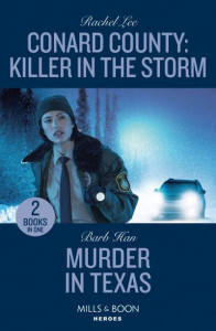 Killer in the Storm by Rachel Lee