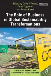 The Role of Business in Global Sustainability Transformations by Dalia D'Amato