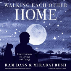 Walking Each Other Home by Ram Dass