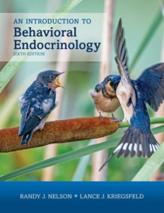 An Introduction to Behavioral Endocrinology by Randy Joe Nelson (Hardback)
