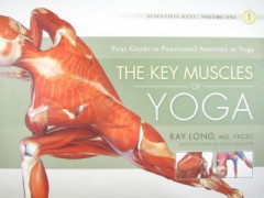 The Key Muscles of Yoga (v. 1) by Ray Long