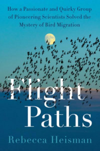 Flight Paths by Rebecca Heisman (Hardback)