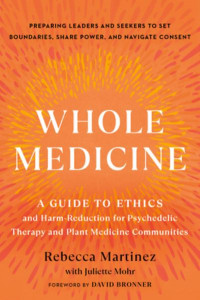 Whole Medicine by Rebecca Martínez