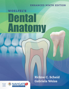 Woelfel's Dental Anatomy by Rickne C. Scheid